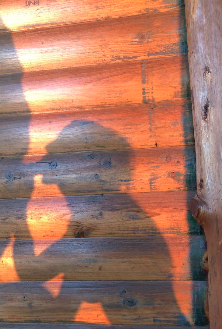Ariaandatos <strong>@ariaatos</strong> in amateuradventures real couple homemade porn video