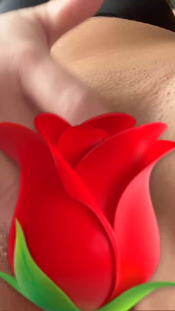 Briarrosevip <strong>@briarrosevip</strong> in porn video