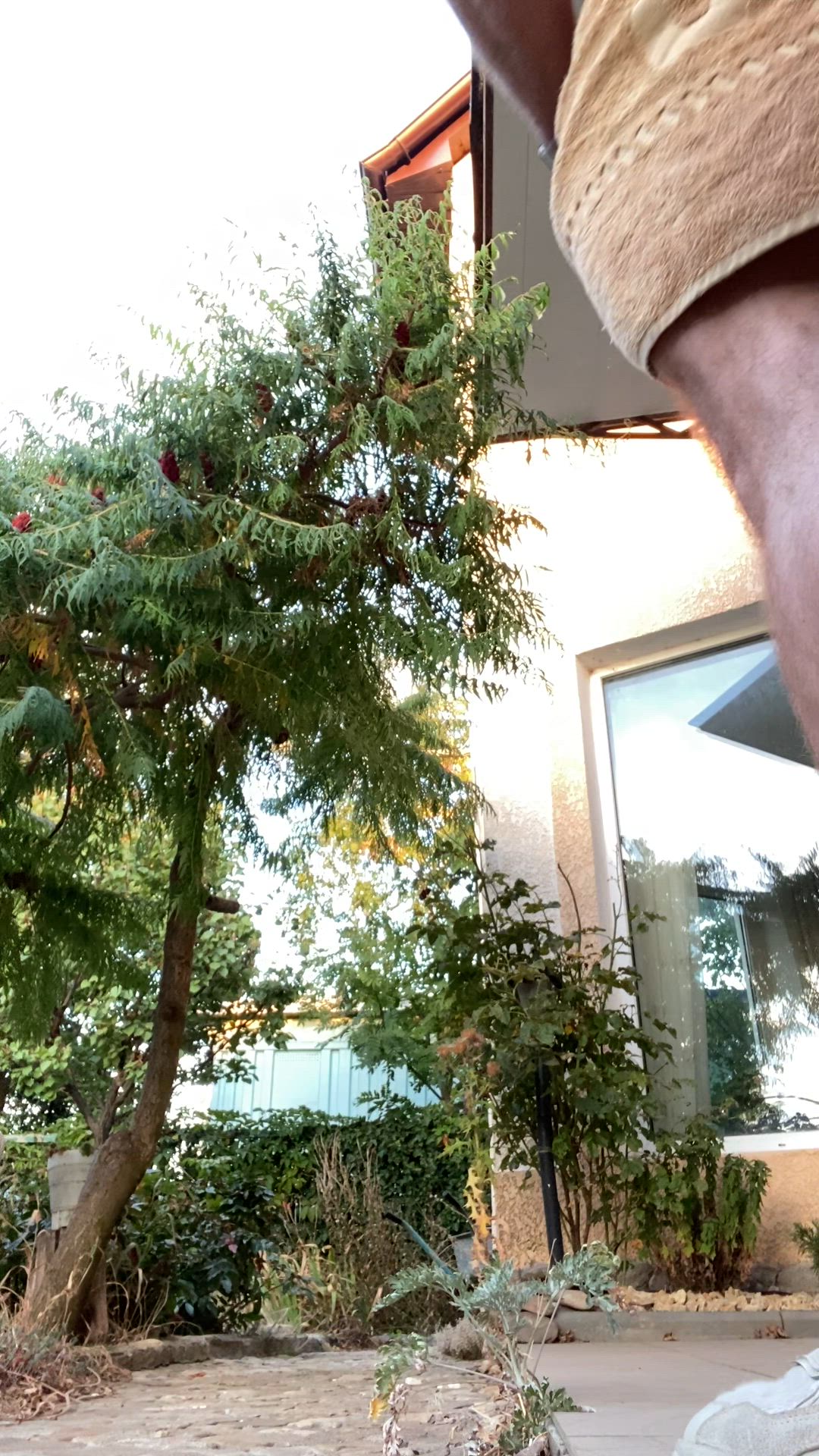 Dorianmcdon <strong>@dorian_mcdon</strong> in big dick onlyfans ass porn video