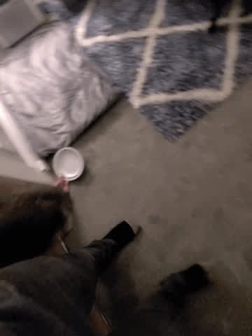 Heavy_Handed_Dom <strong>@heavy_handed_dom</strong> in porn video