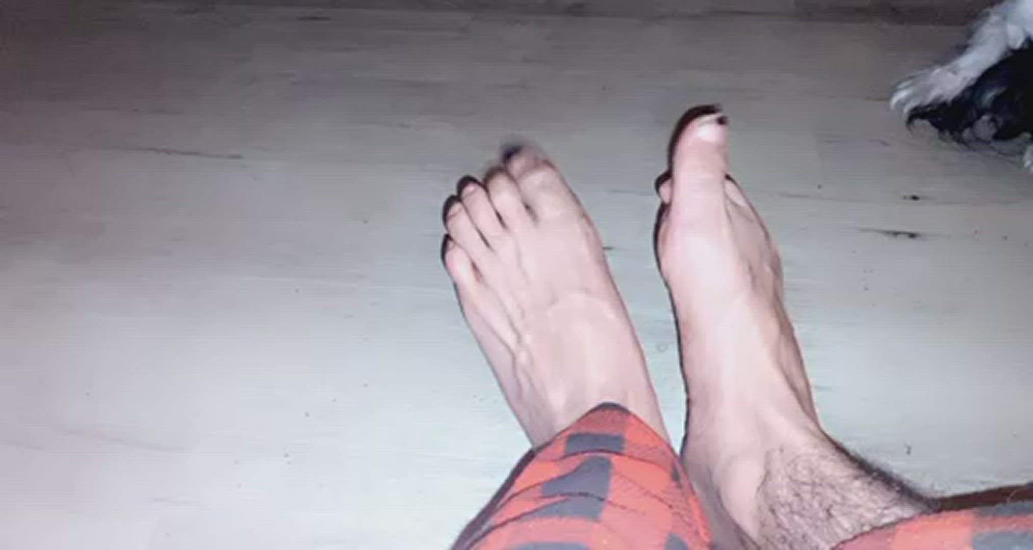 Anemicbttm <strong>@anemicbttm</strong> in feet foot fetish foot worship porn video