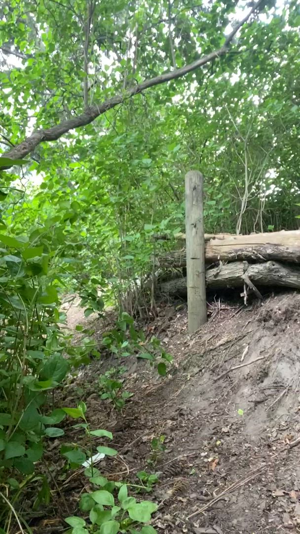 Kyoshipanties <strong>@kyoshipanties</strong> in tail plug outdoor milf porn video