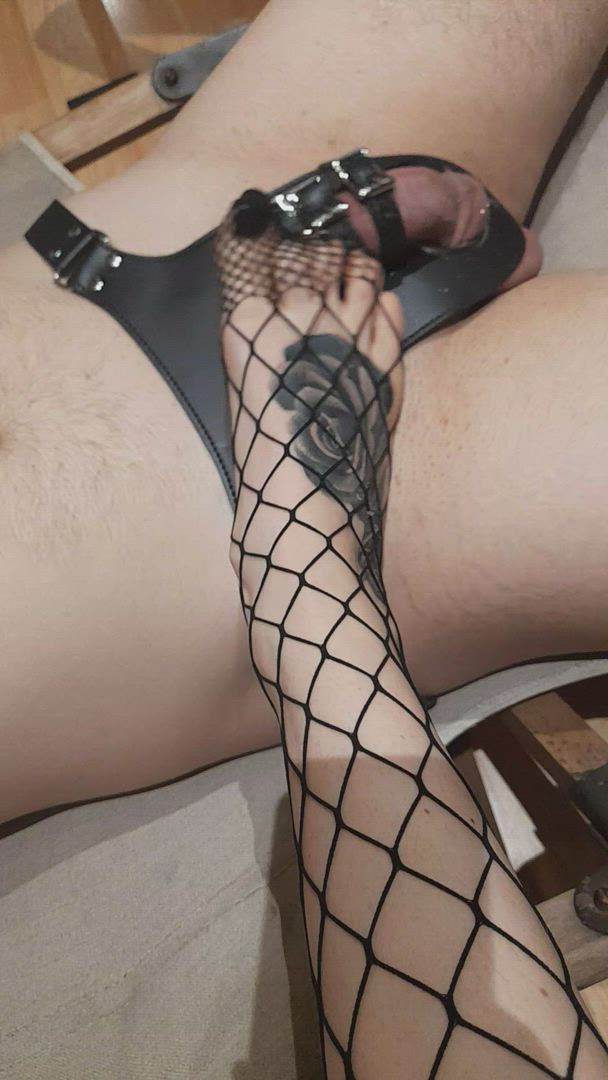 LadyAngela <strong>@ladyangela</strong> in master/slave fetish feet foot fetish chastity onlyfans footjob femdom bdsm porn video