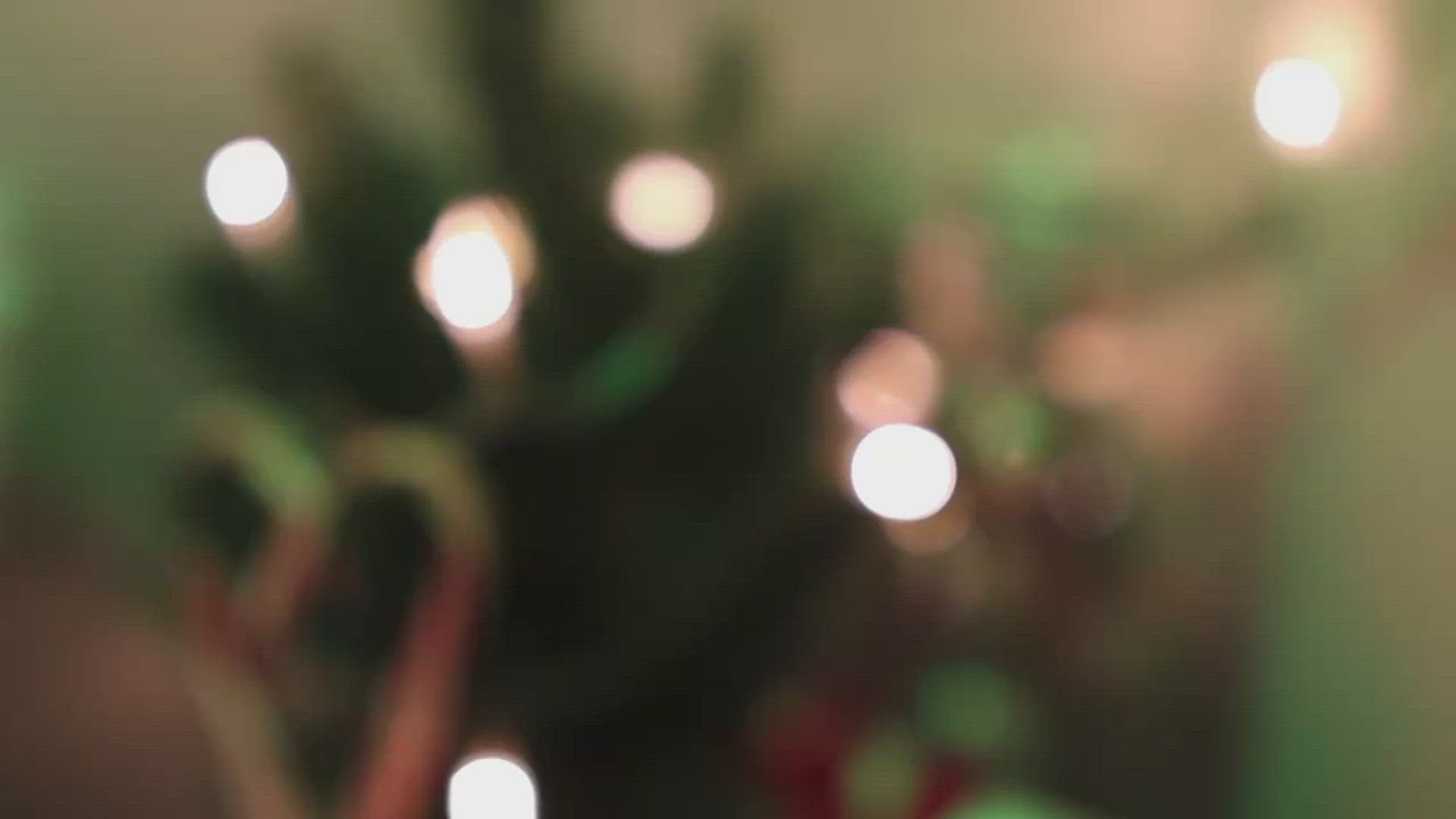 Thesexyvegan <strong>@thesexyveganfree</strong> in porn video