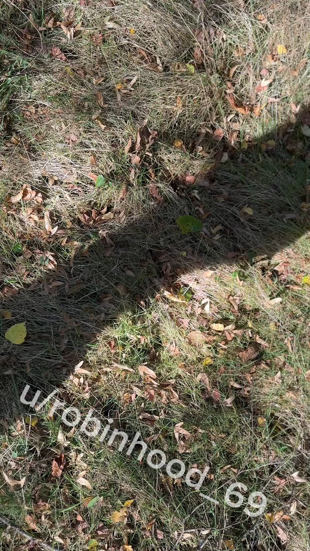 Robinhoood69 <strong>@robinhood_69</strong> in porn video
