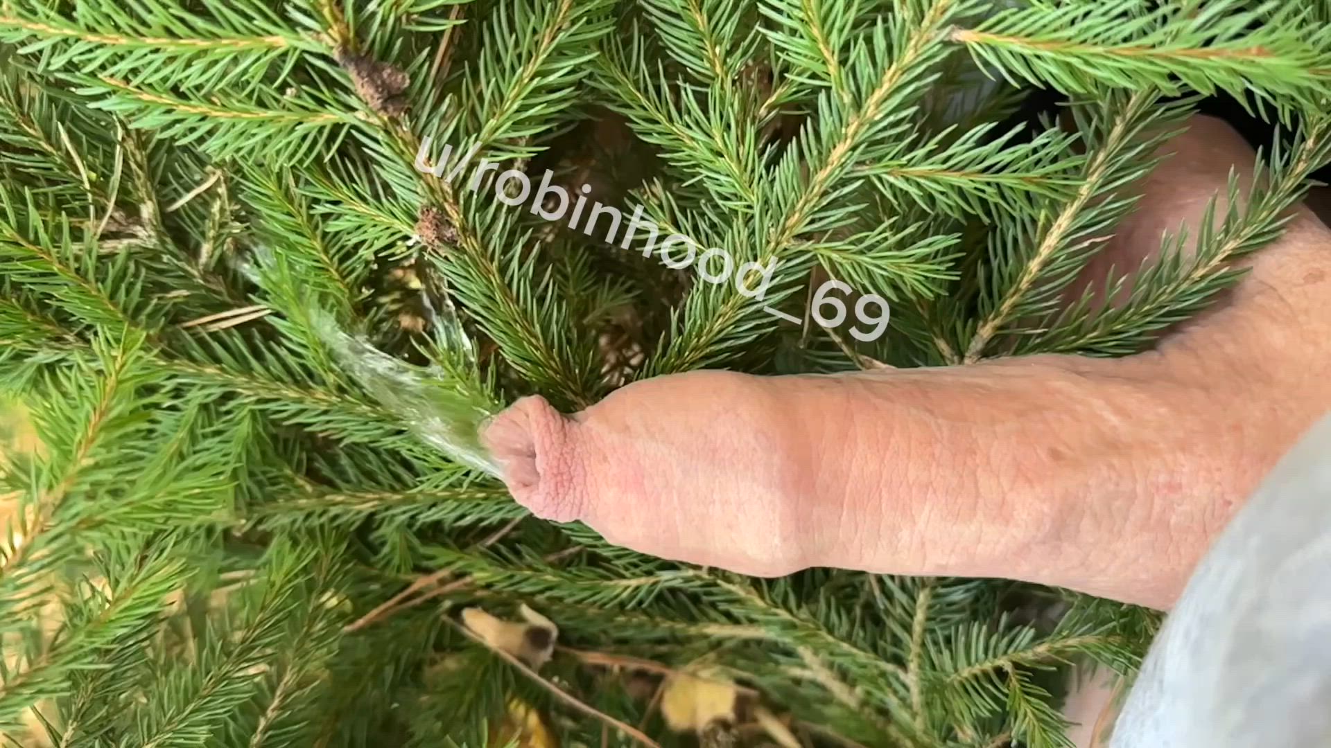 Robinhoood69 <strong>@robinhood_69</strong> in porn video