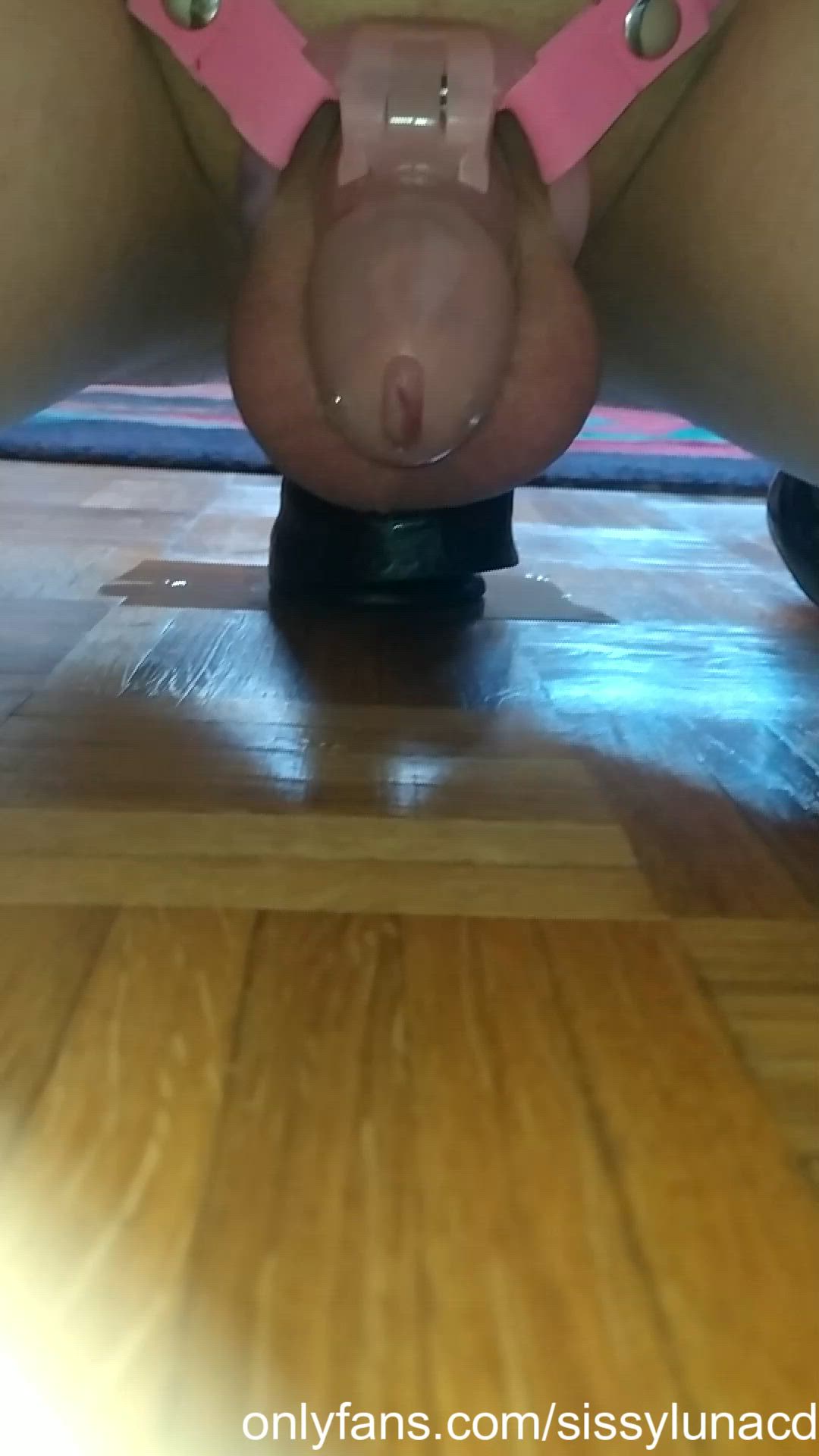 SissyFemboyCD <strong>@sissylunacd</strong> in crossdressing slut sissy bbc slut chastity shemale femboy porn video