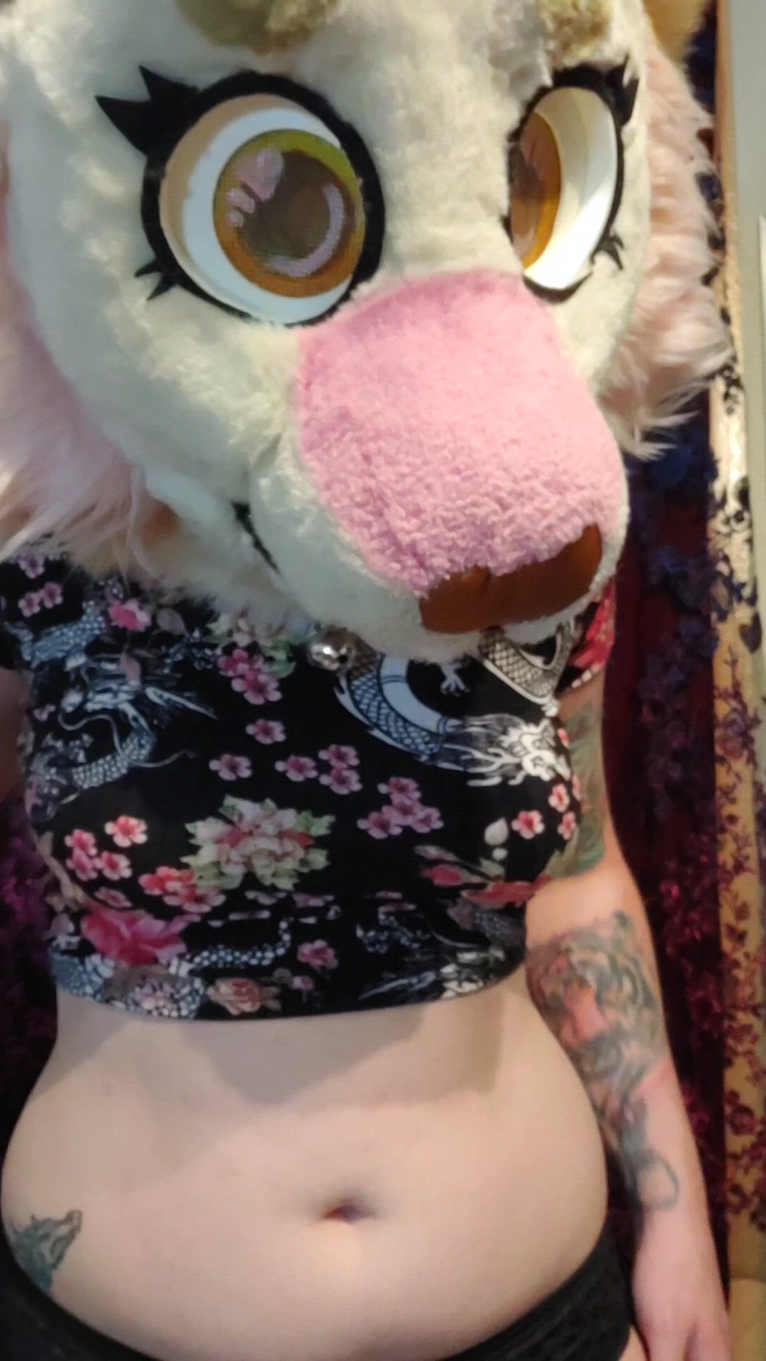 Taffycat <strong>@taffycat</strong> in tits bouncing titty drop big tits jiggling furries jiggle boobs furry porn video