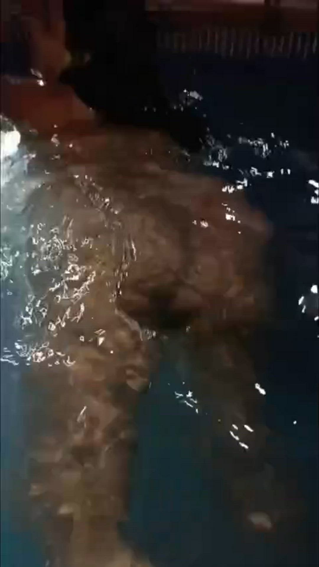Vanessamiller6969 <strong>@vanessamiller69</strong> in natural tits amateur dildo porn video