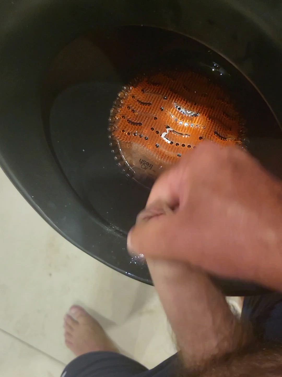Vegetable wolf <strong>@rostislav99</strong> in porn video